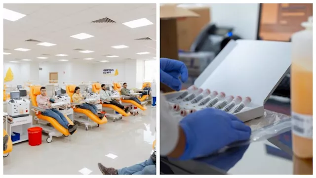 جريفولز إيجيبت تحصل على اعتماد الوكالة الأوروبية ل