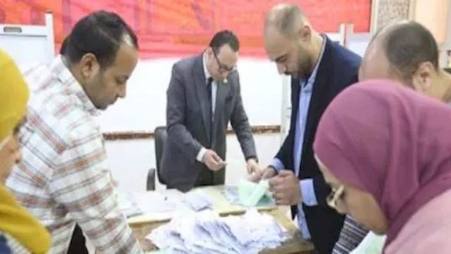 فرز أصوات الدقهلية