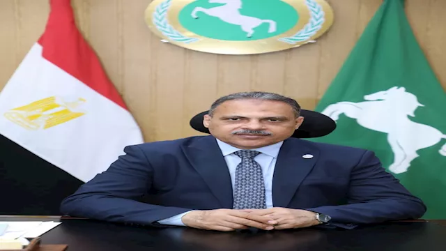 المهندس حازم الأشموني