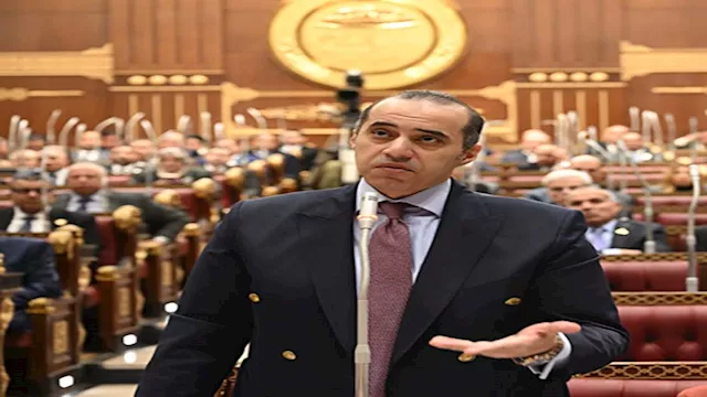 المستشار محمود فوزي