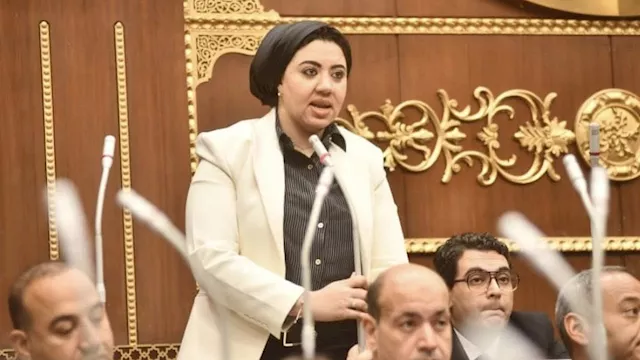 النائبة أميرة صابر