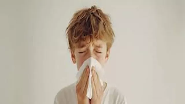 الإنفلونزا