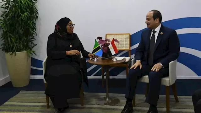 الرئيس السيسي والتنزانية سامية حسن