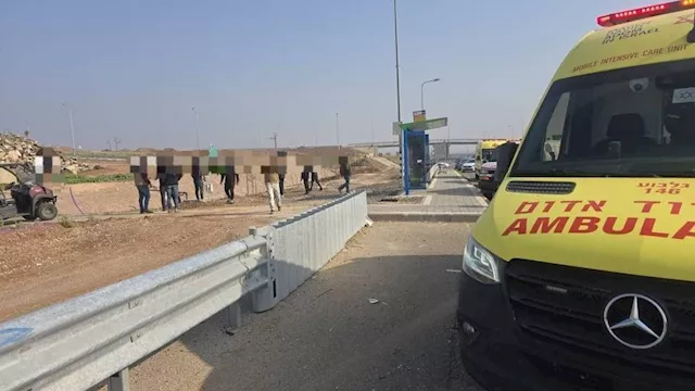 حادث الدهس بمنطقة بيسان