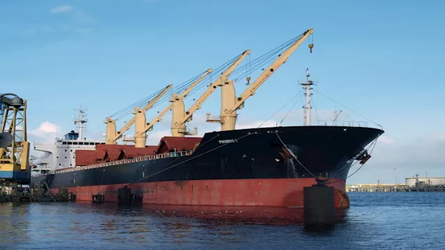 تداول البضائع على رصيف ميناء سفاجا 