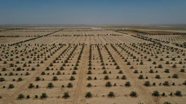 لمكافحة التصحر.. قطر توظف المسيرات في نثر بذور الن