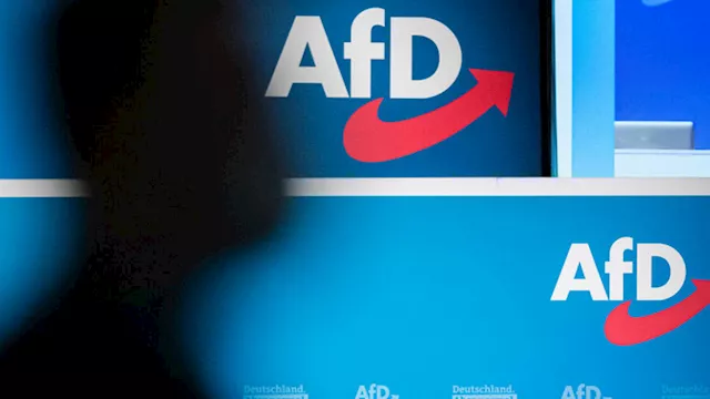 حزب البديل من أجل ألمانيا