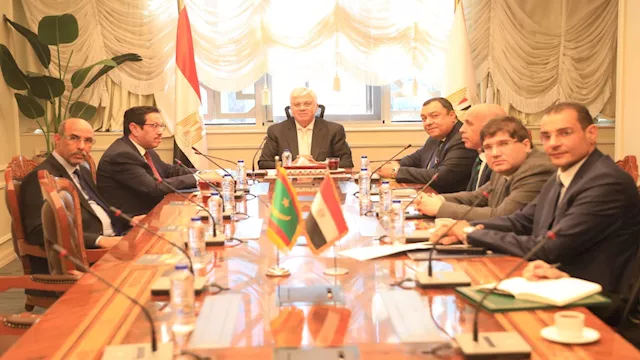 الدكتور أيمن عاشور