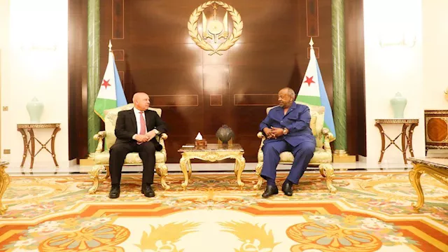 رئيس جيبوتي يستقبل وزير النقل لبحث التعاون في عدد 