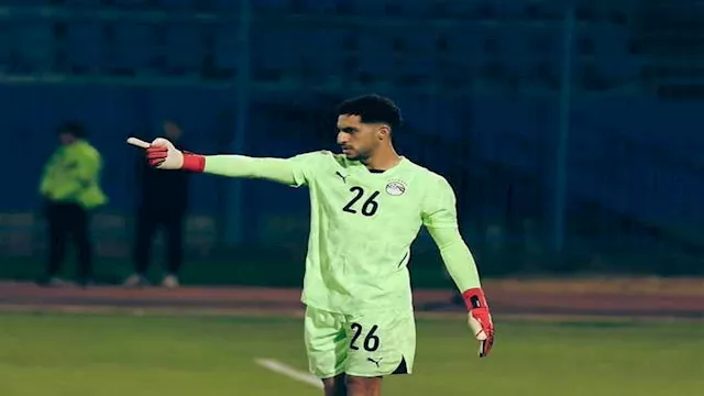 مصطفى شوبير