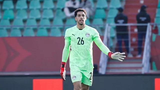 مصطفي شوبير