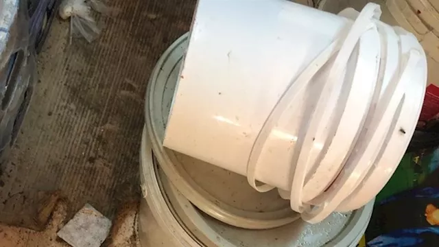 ضبط 600 كجم جبن ولانشون فاسد داخل مخزن بالقليوبية