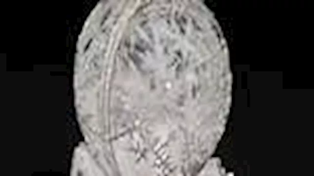 الأغلى في العالم