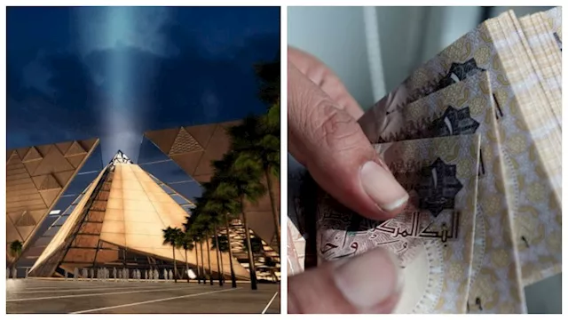 نشرة التوك شو