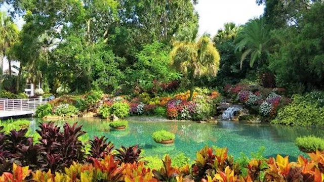 قصة_صاحب_الجنتين- تعبرية 