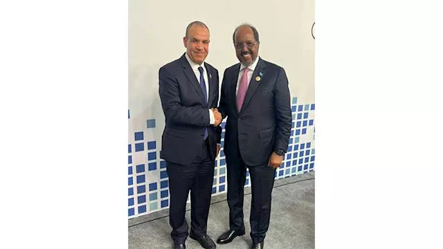  بدر عبد العاطي وزير الخارجية 