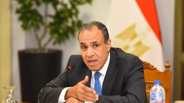 بدر عبد العاطي وزير الخارجية