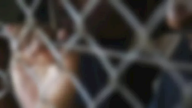 تأجيل محاكمة 124 متهمًا بالانضمام لخلية إرهابية لـ 11 فبراير المقبل