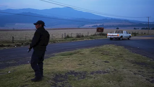 الشركة في المكسيك