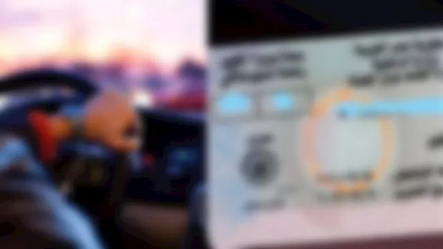 تجديد الرخصة- تعبرية