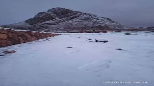 نيوزيلندا- أرشيفية