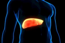 علامات تشير إلى تضخم الكبد- لا تتجاهلها
