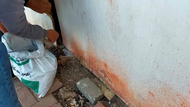 حملة مكافحة القوارض