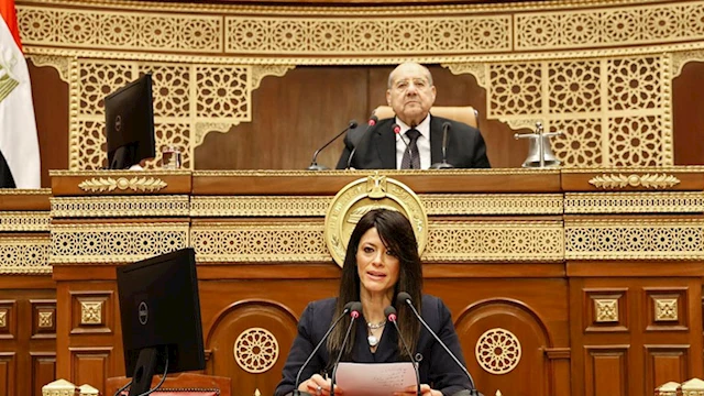 الدكتورة رانيا المشاط