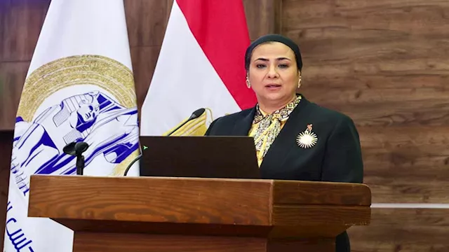 المستشارة أمل عمار رئيسة المجلس القومي للمرأة