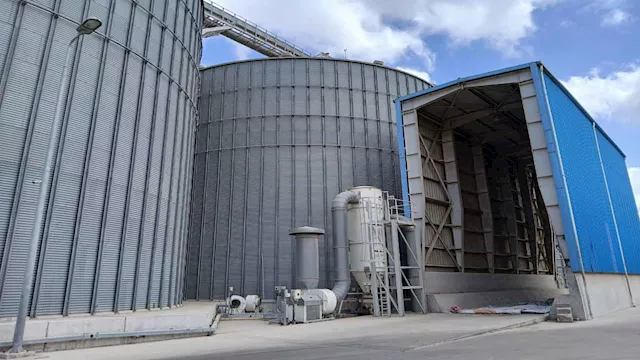 صوامع التموين بالإسكندرية