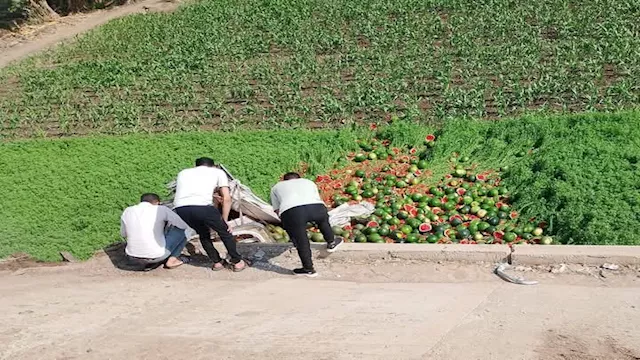 انقلاب سيارتين محملتين بالبطيخ