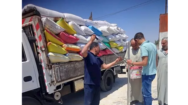 توريد القمح 