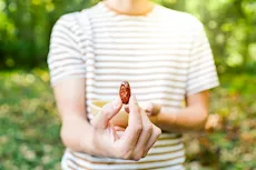 التمر للنساء- 6 فوائد يقدمها لصحتِك الجنسية