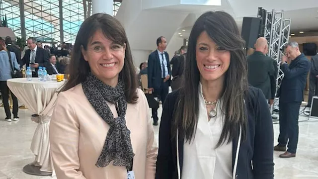 الدكتورة رانيا المشاط مع كيفن فري