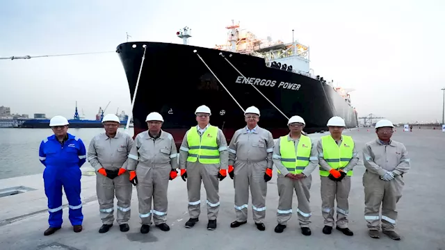 مصر تستقبل سفينة تغويز جديدة بمحطة تحيا مصر بميناء