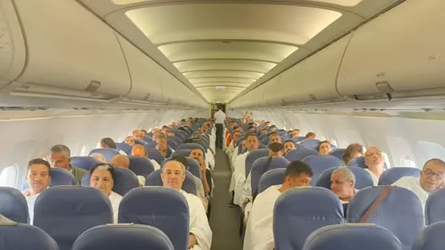 أفواج البيطريين المصريين