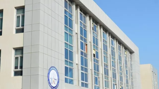 جامعة دمياط الأهلية