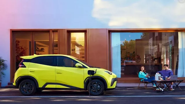  Dolphin Surf الكهربائية