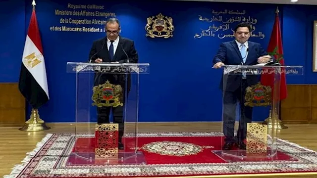 عبد العاطي يسلّم رسالة من الرئيس السيسي إلى ملك ال