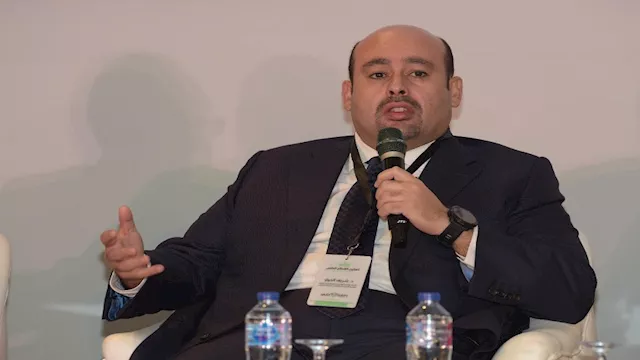 الدكتور شريف الخولي أستاذ التمويل