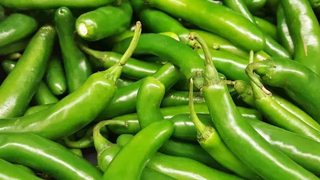 أسعار الفلفل الحامي