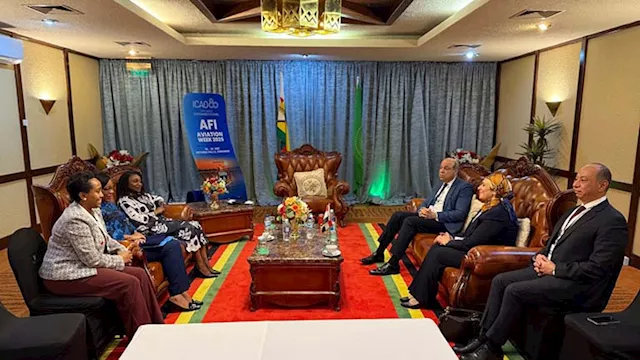 الدكتور سامح الحفني وزير الطيران المدني