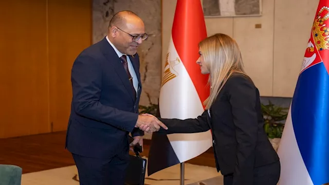 وزيرة العمل الصربية ومحمد جبران