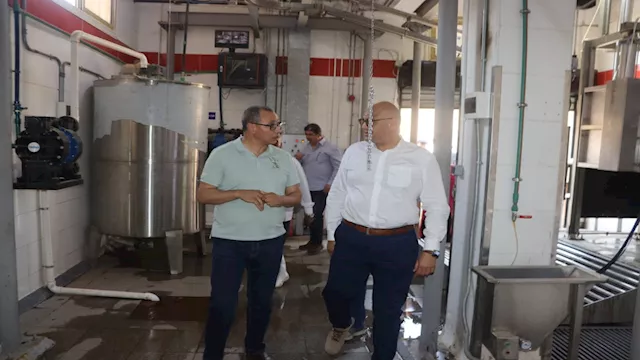 محافظ القليوبية يتفقد المجازر 