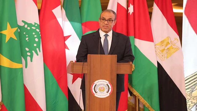 السفير بدر عبدالعاطي وزير الخارجية