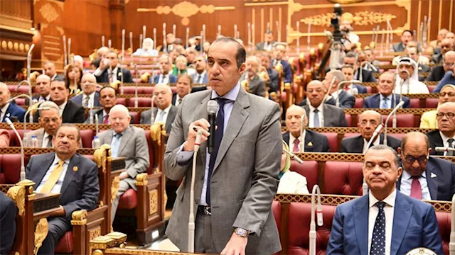 وزير الشئون النيابية محمود فوزي