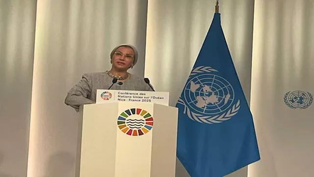 الدكتورة ياسمين فؤاد