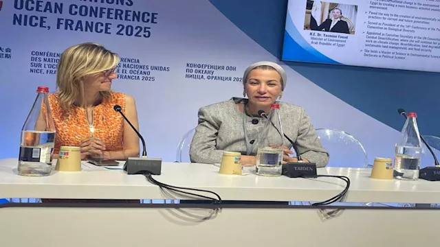 الدكتورة ياسمين فؤاد