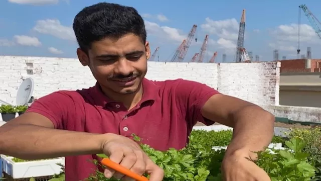 الخبير الزراعي أحمد السمالوسي