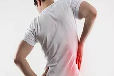 ما الأطعمة التي تحافظ على صحة الكلى